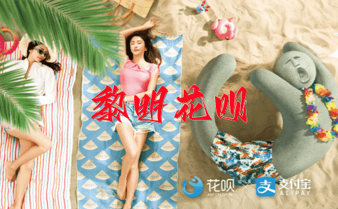 难能可贵花呗
